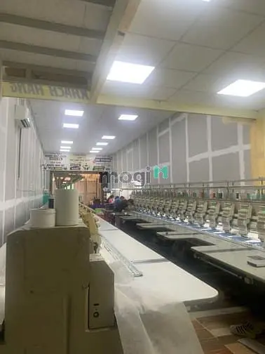 Cần Cho Thuê Tx22 Q.12 Dt: 5Mx31M Có : Gác Lửng, Điên 3 Pha Giá 10Tr