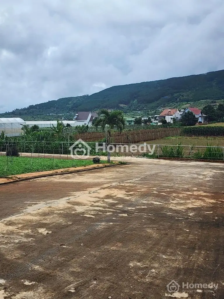 Bán Đất Thổ Cư Giá Rẻ, Chính Chủ, Xã Hiệp Thạnh, Lâm Đồng, Gần Mọi Tiện Ích, Cách Sân Bay 4 Km