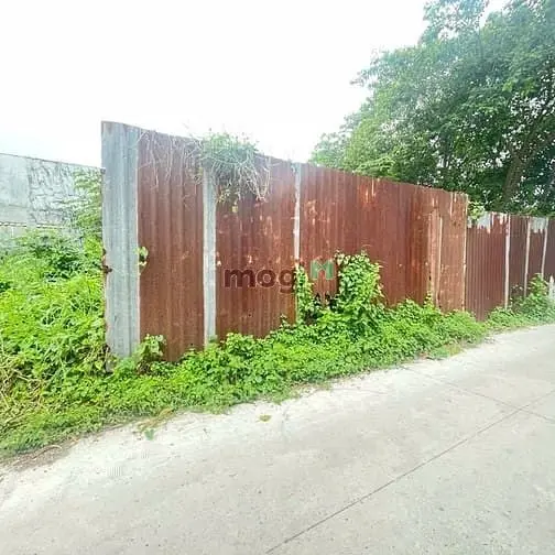 Đất Hẻm Xe Hơi Quốc Lộ 50, 8M X 15M, Tiện Xây Nhà, Hẻm Cao Không Ngập.