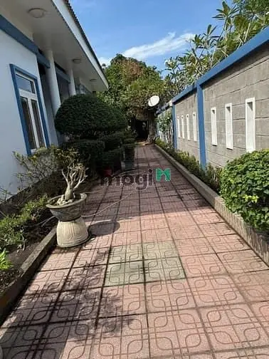 Củ Chi, Bán Biệt Thự Vườn Tỉnh Lộ 7, Dt 30X52M # 1560M2 Thổ Cư