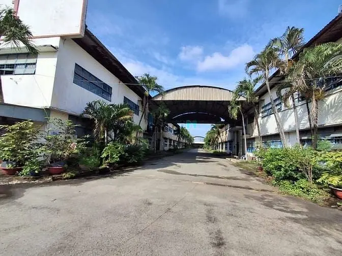 Cho Thuê Xưởng Sản Xuất Đường Trần Đại Nghĩa, Xã Tân Kiên, Huyện Bình