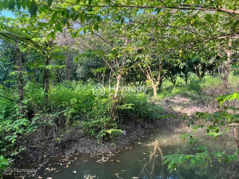 Cần Tìm Chủ Mới Bán Lô Vườn Tại Vĩnh Lương, Nha Trang, Khánh Hòa, Giá Cực Chất Chỉ 3 Tỷ