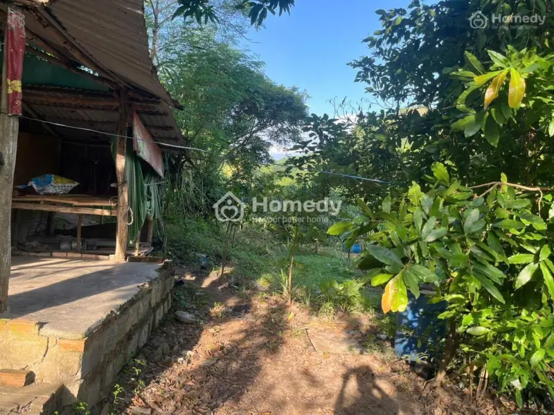 Cần Tìm Chủ Mới Bán Lô Vườn Tại Vĩnh Lương, Nha Trang, Khánh Hòa, Giá Cực Chất Chỉ 3 Tỷ