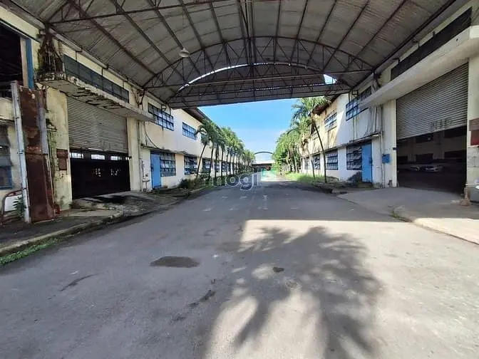 Cho Thuê Xưởng Sản Xuất Đường Trần Đại Nghĩa, Xã Tân Kiên, Huyện Bình