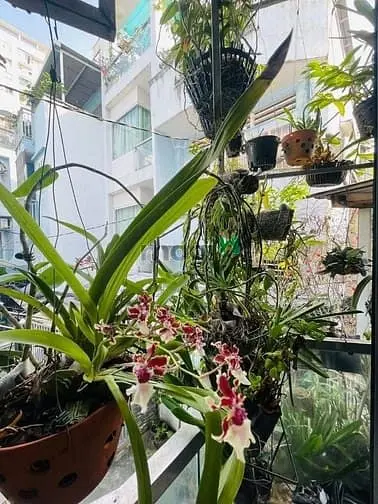 Q10- Nhà Siêu Đẹp- 3Pn- Tặng Hết Nội Thất