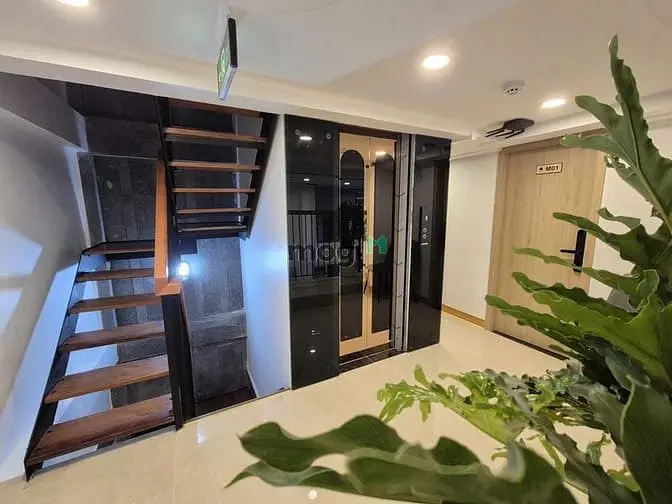 Bán Chdv 2Mt Bến Thành Q1 - Mt 7,5M - 5 Tầng Thang Máy - 13Chdv Hđt95T