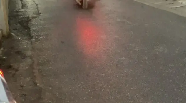 Mặt Ngõ 2 Ô Tô Tránh, Quan Nhân, Kinh Doanh, Gần Phố, 40M2, 5 Tầng, 10.5 Tỷ.