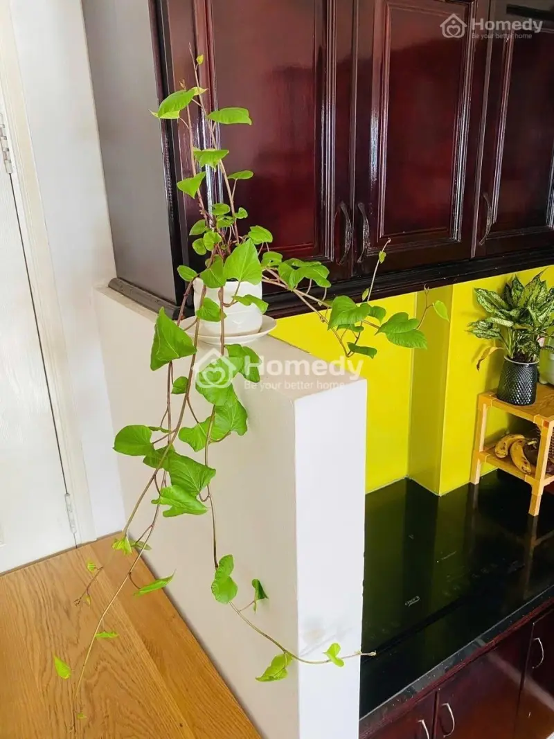 Chung Cư Thái An, Nguyễn Văn Quá, Q12: 3P Ngủ, Full Nội Thất, 8Tr/Th