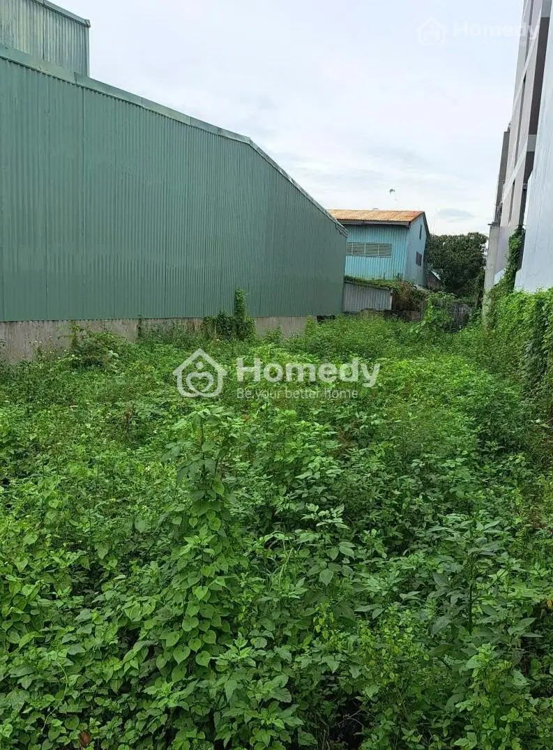 Bán Đất Mặt Tiền Đường Rạch Lùng Tam Phú Cực Đẹp Kinh Doanh Đa Ngành Nghề 10X32 Chỉ 31 Tỷ