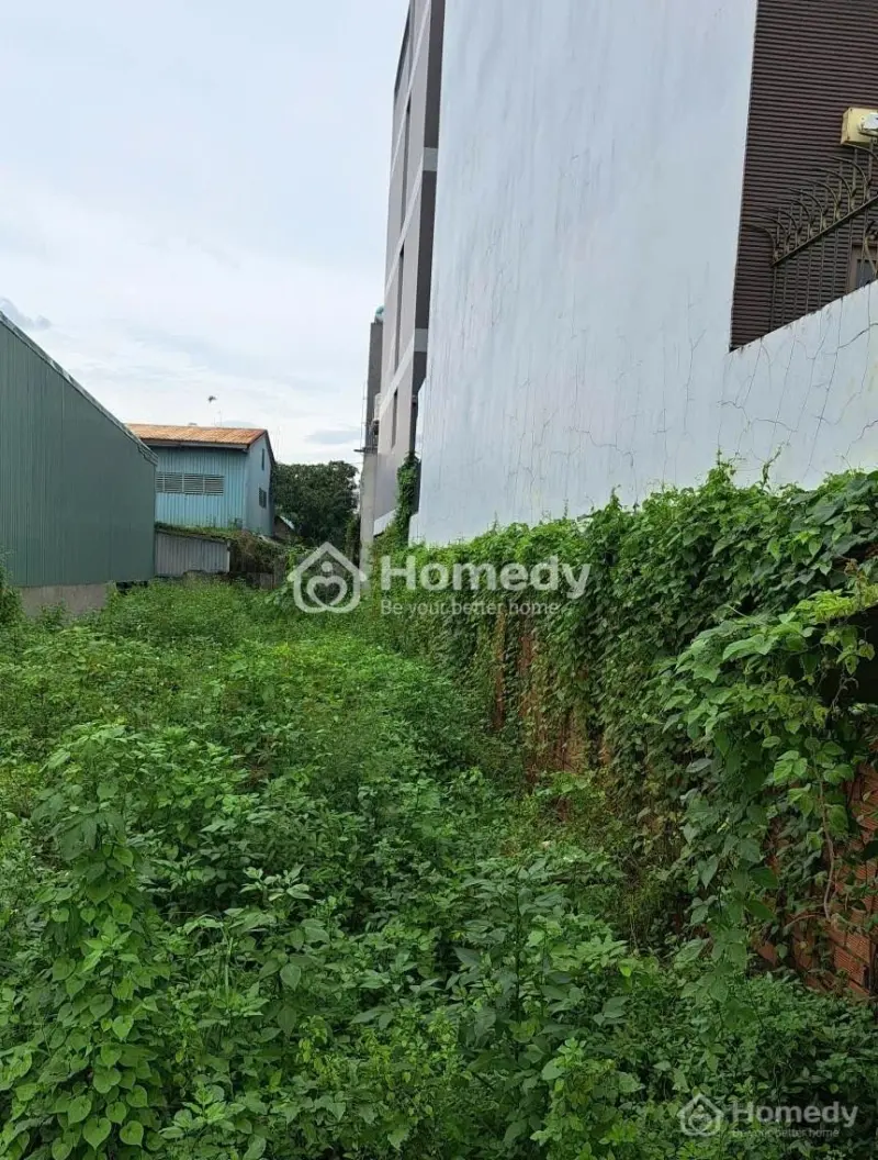 Bán Đất Mặt Tiền Đường Rạch Lùng Tam Phú Cực Đẹp Kinh Doanh Đa Ngành Nghề 10X32 Chỉ 31 Tỷ