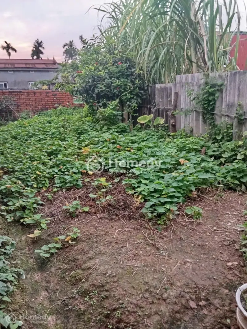 Chính Chủ Bán Nhà Đất Gần Kcn Tiên Thanh, Hải Phòng (Không Qua Môi Giới)