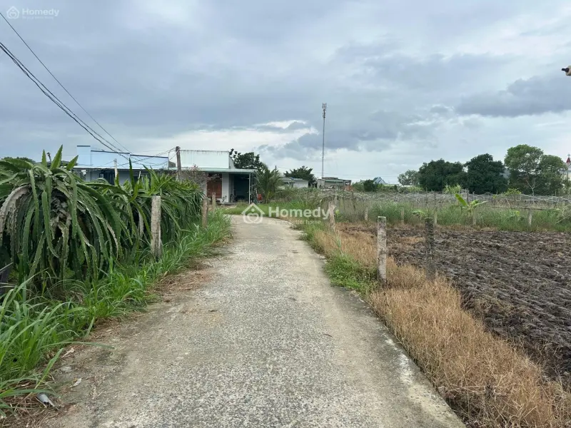 💥 Siêu Phẩm Full Thổ Cư 6X30 – Giá Chỉ 500 Triệu – Hiếm Khó Tìm Tại Lagi