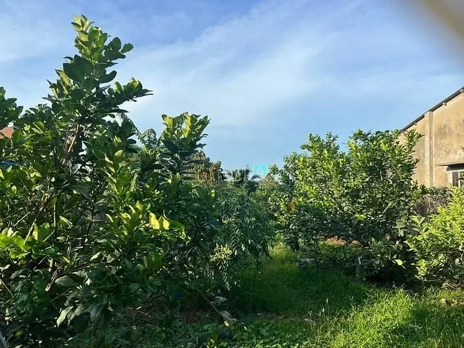 Bán 1000M2 Mt Bình Hoà - Cây Dương Giá 5,2 Tỷ Shr View Sông Đồng Nai