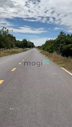 Sở Hữu Ngay Đất Mặt Tiền Đt795, Tân Châu, Tây Ninh Cơ Hội Sinh Lời Cao