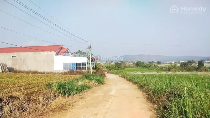 Đất Thổ Cư Giá Rẻ, Gần Sân Bay, Khu Dân Cư Hiện Hữu, Gần Mọi Tiện Ích, Đường Ô Tô Vào Tận Đất.