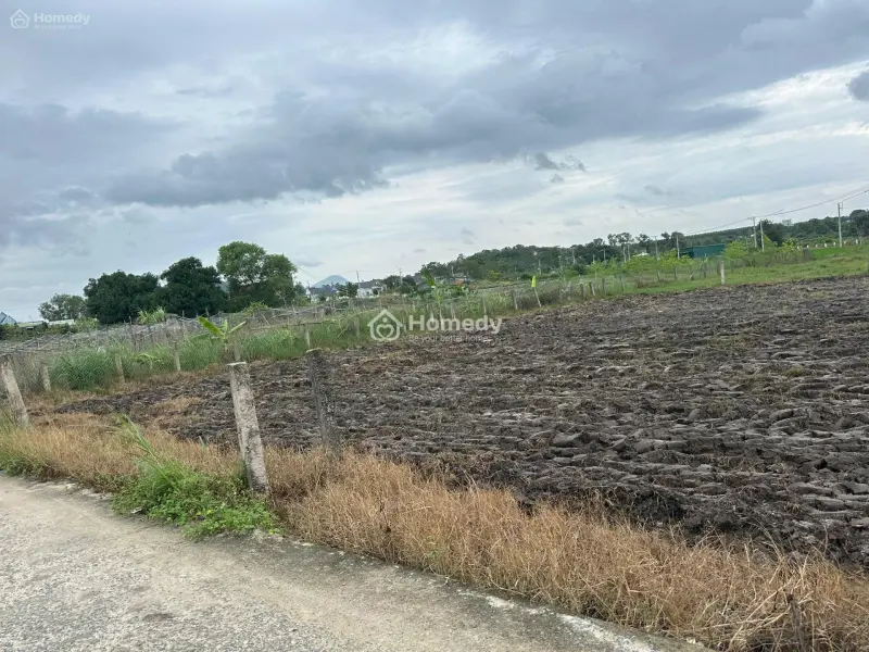 💥 Siêu Phẩm Full Thổ Cư 6X30 – Giá Chỉ 500 Triệu – Hiếm Khó Tìm Tại Lagi