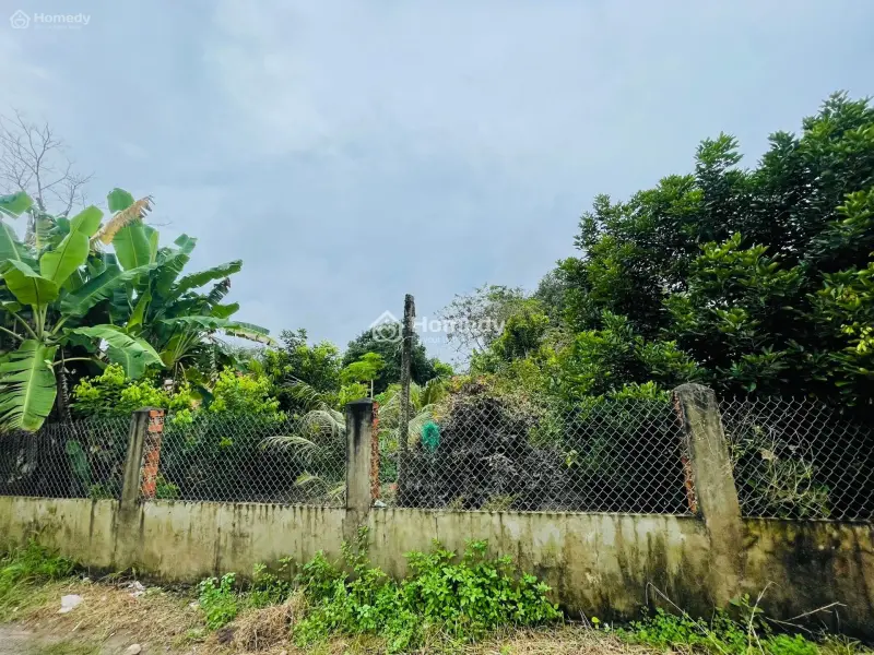 Định Cư Sang Úc Cần Sang Lại Nhà Vườn (4690M2) Thổ Cư Shr Cạnh Chợ Ủy Ban Dân Cư Đông Giá 600 Triệu