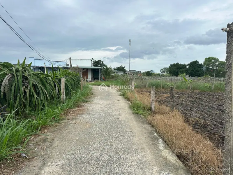 💥 Siêu Phẩm Full Thổ Cư 6X30 – Giá Chỉ 500 Triệu – Hiếm Khó Tìm Tại Lagi