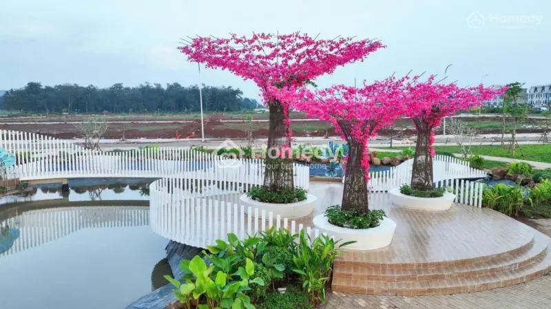 Điêm Nóng Dầu Giây. Ngã Tư Tâm Điểm Giao Thương