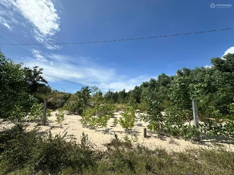 Siêu Phẩm 10023M2 View Biển Lagi – Giá Chỉ 2,6 Triệu/M² – Duy Nhất 1 Lô