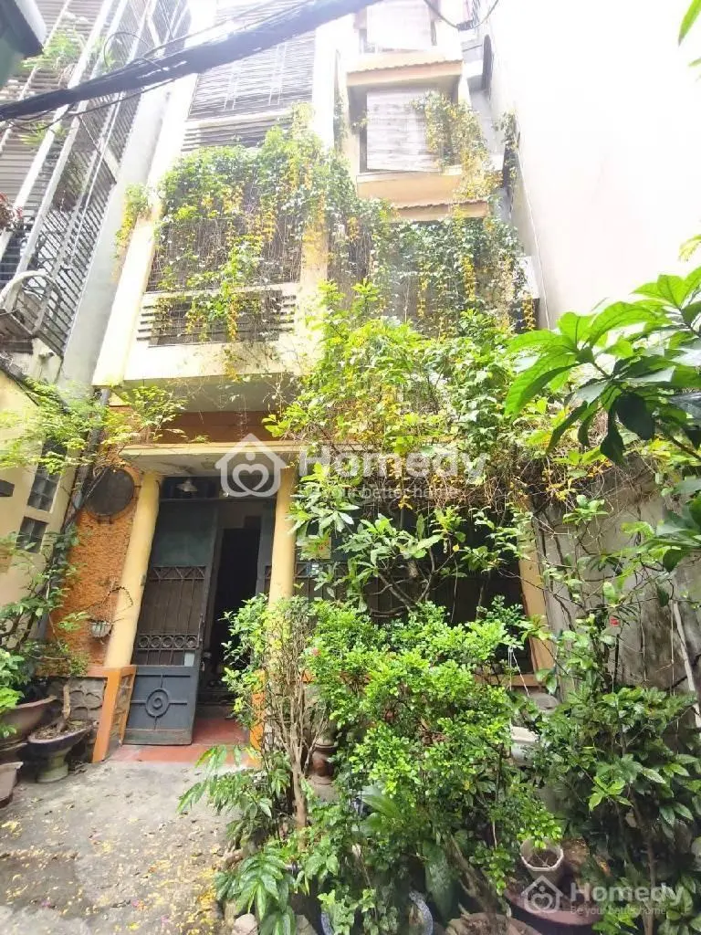 30M Ra Phố Võ Thị Sáu-View Hồ-Sát Công Viên-72M2 Dân Xây 5Tầng-Nội Thất Gỗ Cao Cấp-Ở Sướng-18Tỷ6