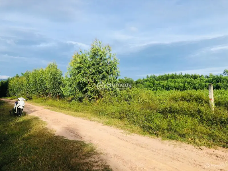 Bán 2.5 Sào Đất 2 Mặt Đường Số 8 - Tân Hà - Hàm Tân Giá Mềm 36Tr/M Ngang