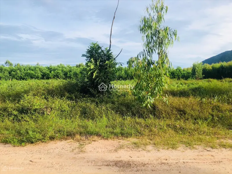 Bán 2.5 Sào Đất 2 Mặt Đường Số 8 - Tân Hà - Hàm Tân Giá Mềm 36Tr/M Ngang