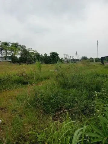 Cần Tìm Đối Tác Chuyển Nhượng Đất Kcn Đồng Văn, Duy Tiên, Hà Nam