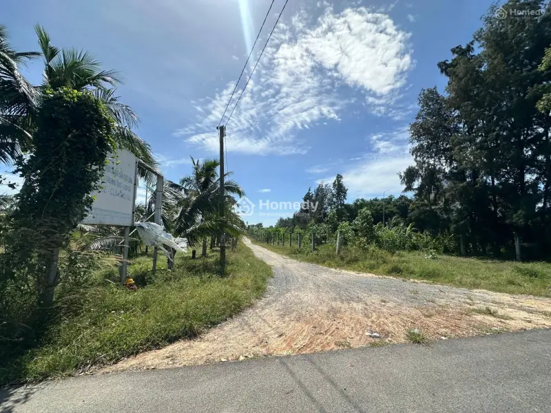 Siêu Phẩm 10023M2 View Biển Lagi – Giá Chỉ 2,6 Triệu/M² – Duy Nhất 1 Lô