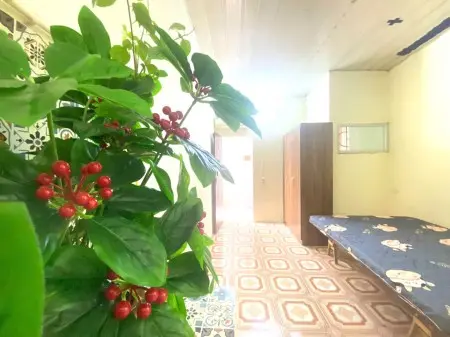 Ngõ 114 Nguyễn Đạo An, Phú Diễnphòng Khép Kín Ở Luôn 2.3Tr