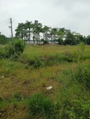 Cần Tìm Đối Tác Chuyển Nhượng Đất Kcn Đồng Văn, Duy Tiên, Hà Nam