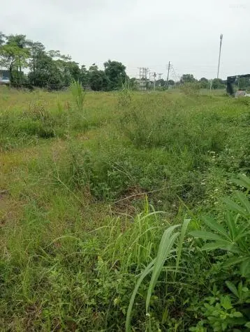 Cần Tìm Đối Tác Chuyển Nhượng Đất Kcn Đồng Văn, Duy Tiên, Hà Nam