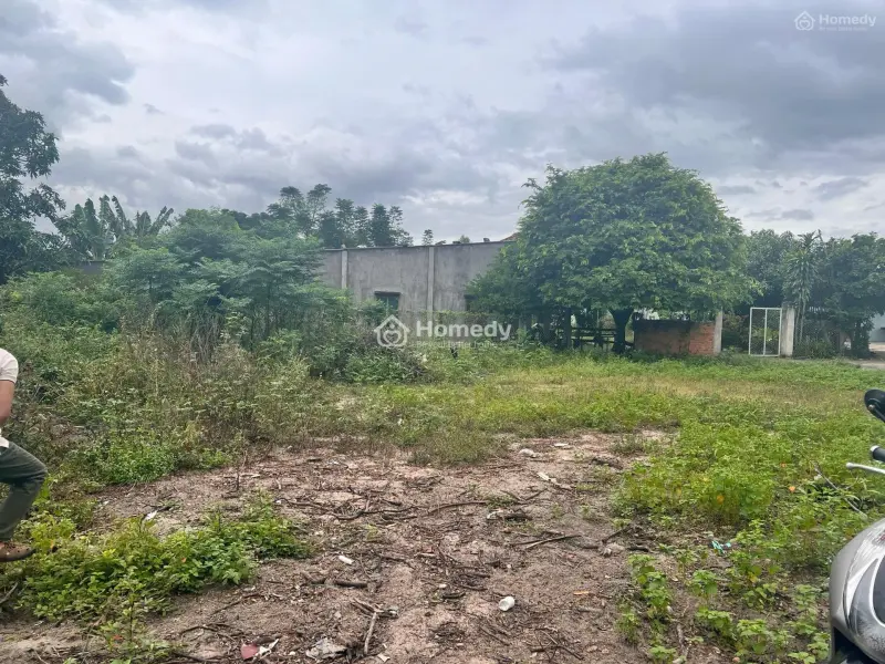 Bán Đất Khu Dân Cư Đông , An Ninh, Pháp Lý Rõ Ràng Sang Tên Nhanh