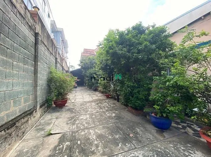 Bán Đất + Nhà 3 Tầng Mặt Tiền Lý Tế Xuyên, Sát Bên Ubnd Phường