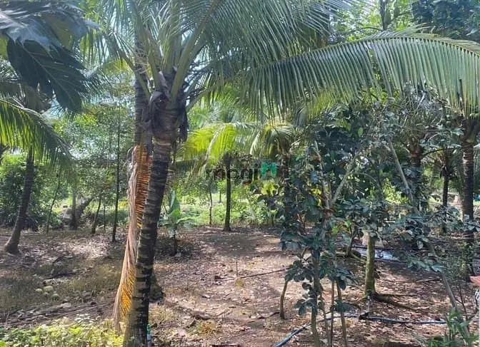 Bán Đất 4500M² – Định Quán, Giá Siêu Hấp Dẫn 1 Tỷ 7