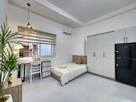 Cho Thuê Chdv 1Pn, 30M2, Full Nt, Tại Trương Công Định, Tân Bình, Hcm