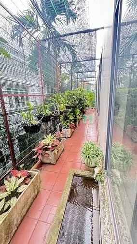 Biệt Thự Sân Vườn Khu Sadeco Phước Kiểna• Hiếm Nhà Bán• 360M2(12X30)