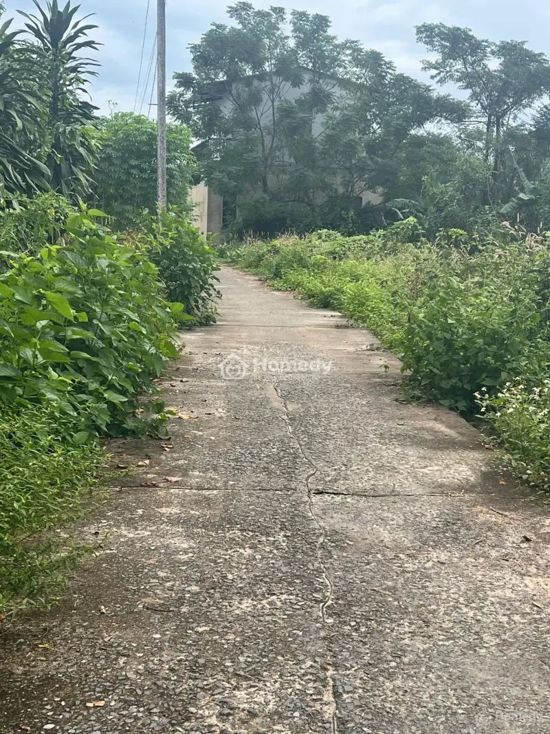 Bán Đất Khu Dân Cư Đông , An Ninh, Pháp Lý Rõ Ràng Sang Tên Nhanh