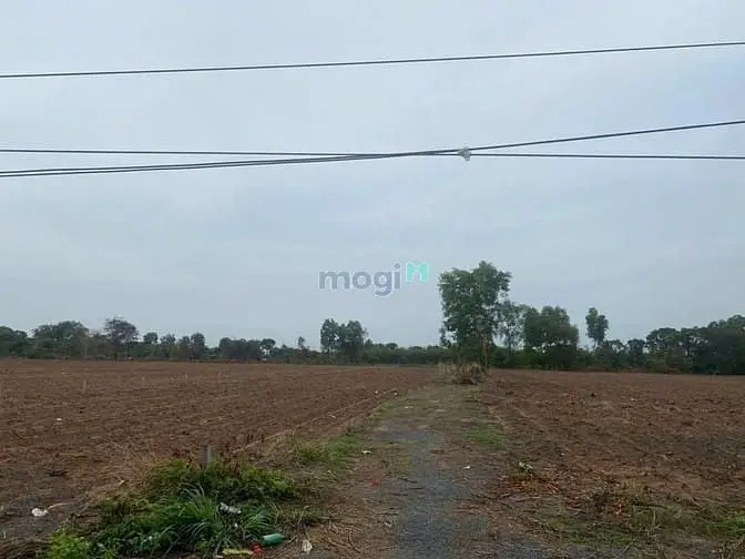 Bán Gấp Đất Thổ Nhà Vườn Nhơn Trạch Giá Rẻ 2,8Tr/M.mt Đường Nhựa, Shr