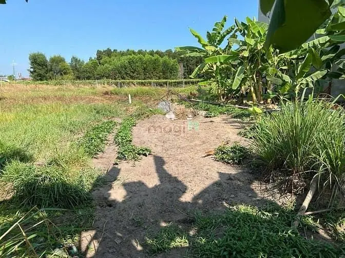 Bán Gấp Đất Thổ Nhà Vườn Nhơn Trạch Giá Rẻ 2,8Tr/M.mt Đường Nhựa, Shr