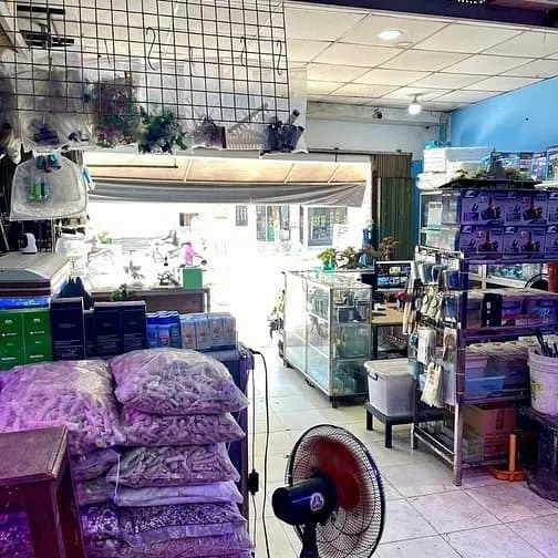 Nhà 110M2 Ngang 5,4M Mặt Tiền Đặng Văn Bi Phường Bình Thọ Thủ Đức