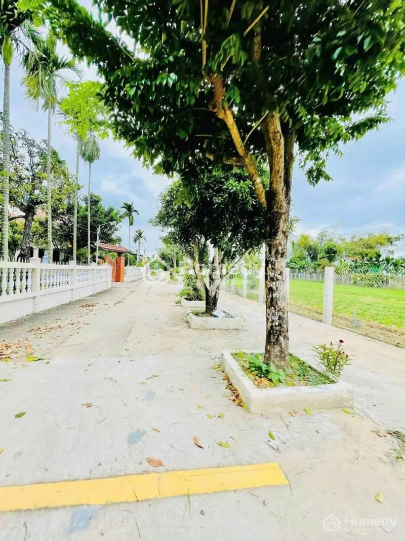 🚀 Chốt Nhanh Lô 190M² – Vị Trí Đẹp, Giá Chỉ 7Xx – Xem Là Ưng!