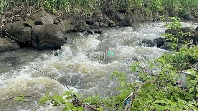 1516M² Đất Tại Túc Trưng – Mảnh Lớn, Giá Mềm 800 Triệu