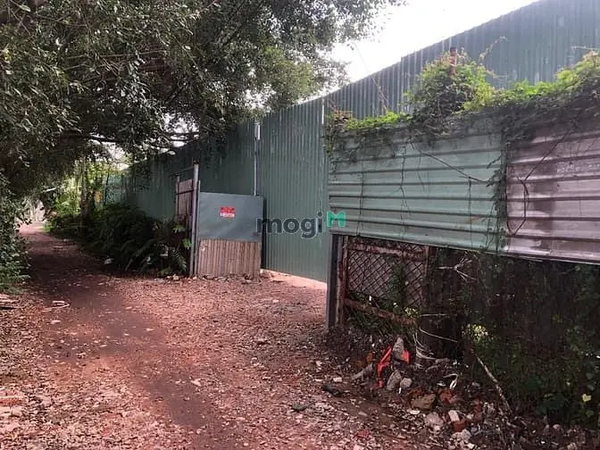 Cho Thuê Nhà Xưởng 1400M2 An Phú Đông Quận 12