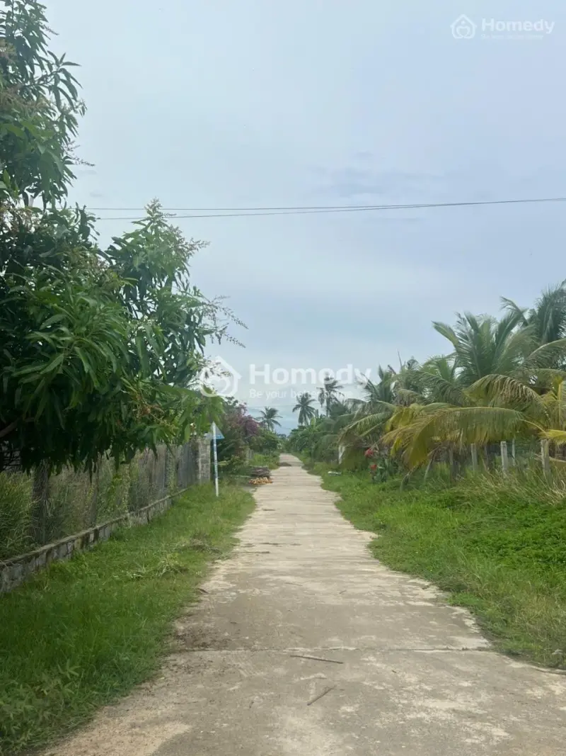 Bán Đất Thổ Cư Sau Trạm Y Tế Cam An Nam, Cách Vin 100M, Giá Chỉ 190 Triệu/Mn