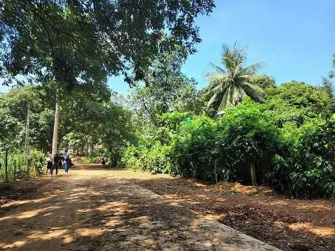 1516M² Đất Tại Túc Trưng – Mảnh Lớn, Giá Mềm 800 Triệu