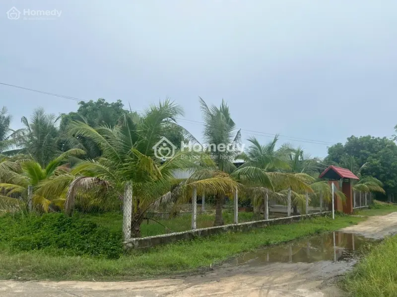 Bán Đất Thổ Cư Sau Trạm Y Tế Cam An Nam, Cách Vin 100M, Giá Chỉ 190 Triệu/Mn