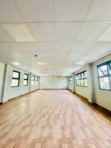 Cho Thuê Toà Nhà 7 Tầng Số 12A Hoa Phượng, Phường 2, Quận Phú Nhuận