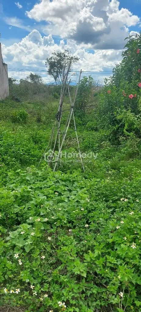 Bán Đất Thổ Chính Chủ, Cư Giá Rẻ, Gần Sân Bay Liên Khương, Xã Đức Trọng, Lâm Đồng.