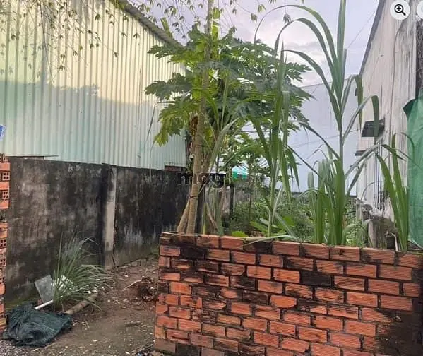 Bán Đất Ấp 6 Đông Thạnh Hóc Môn, 4X15M, Sổ Riêng, Đường Nguyễn Thị Sán